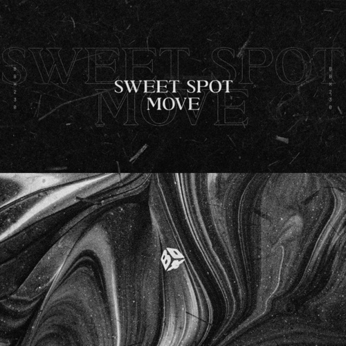 SWEET SPOT-Move