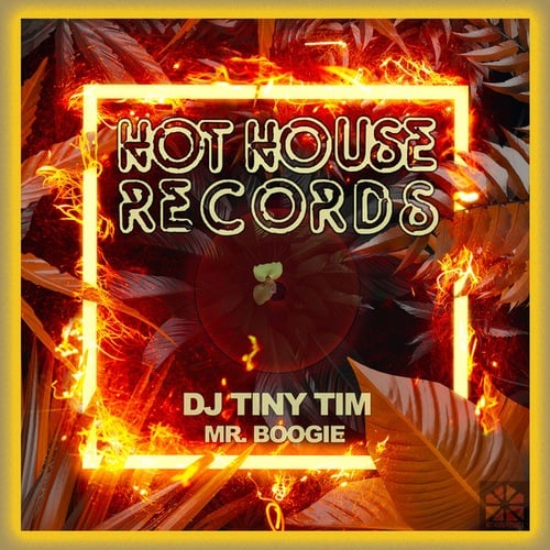 DJ Tiny Tim-Mr. Boogie