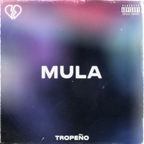 Mula