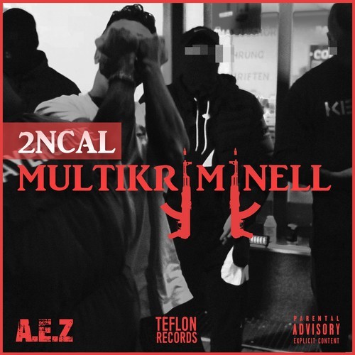 2ncal-Multikriminell