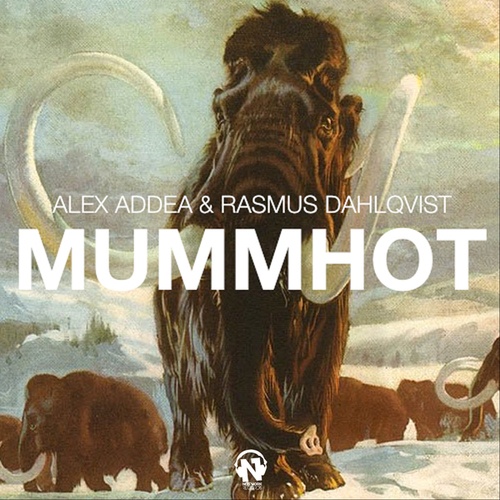 Alex Addea, Rasmus Dahlqvist-Mummhot