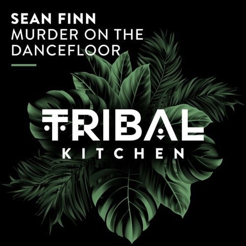 Sean Finn-Murder on the Dancefloor (Extended Mix)