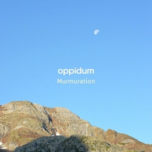 Oppidum-Murmuration