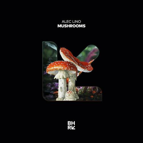 Alec Lino-Mushrooms