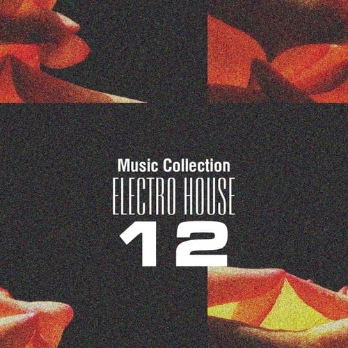 Various Artists-Music Collection. Electro House 12