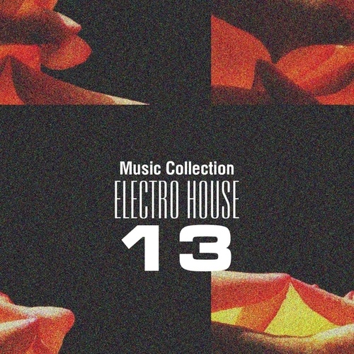 Various Artists-Music Collection. Electro House 13