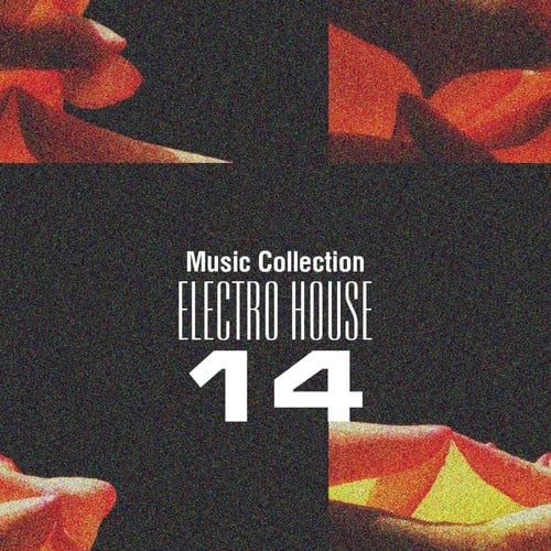 Various Artists-Music Collection. Electro House 14