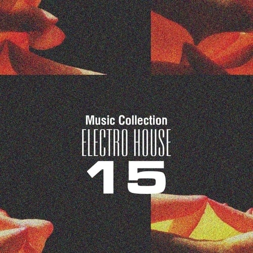 Various Artists-Music Collection. Electro House 15