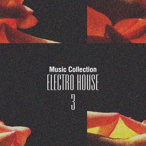 Various Artists-Music Collection. Electro House, Vol. 3
