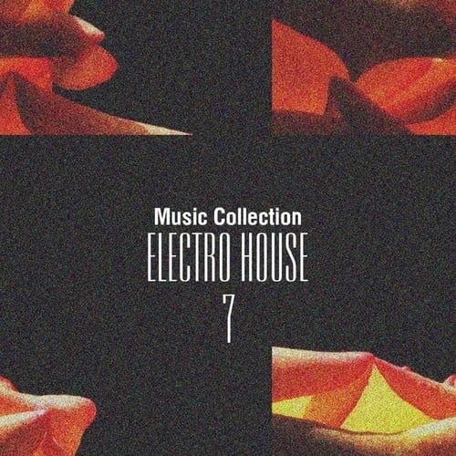 Various Artists-Music Collection. Electro House, Vol. 7