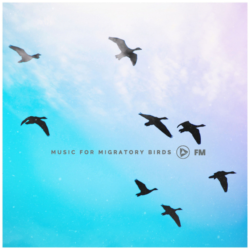 Various Artists-Music for Migratory Birds