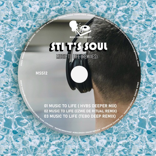 STI T's Soul, Tebo, Czwe, Hvbs-Music to Life (Remixes)