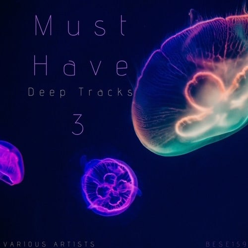 Various Artists-Must Have Deep Tracks, Vol.3