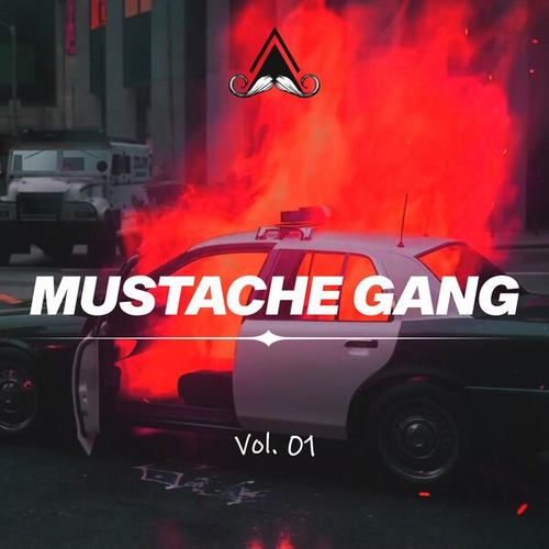 Various Artists-Mustache Gang, Vol. 01