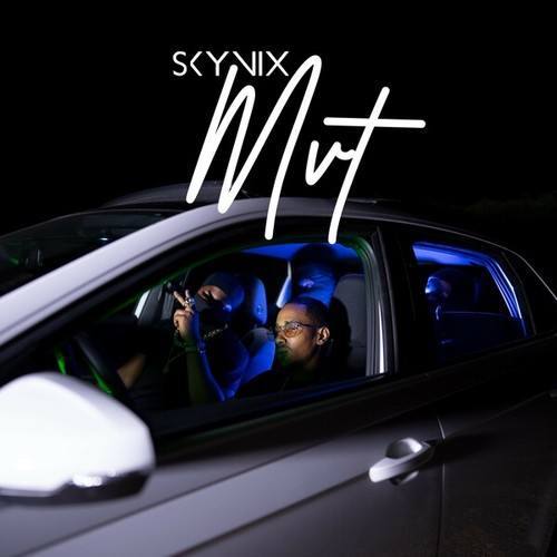 Skynix-Mvt