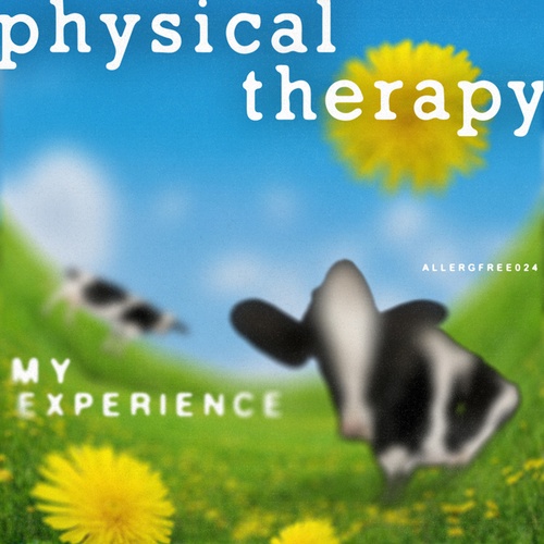 Physical Therapy-My Experience
