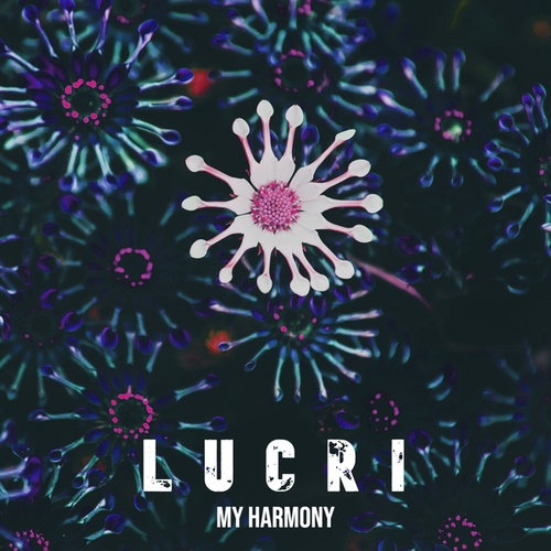 Lucri-My Harmony