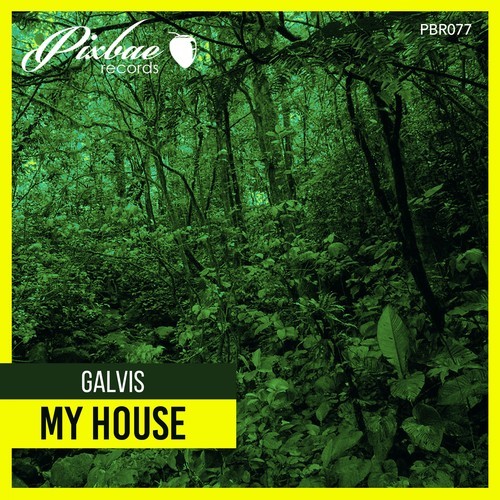 GALVIS, Dido Galvis-My House