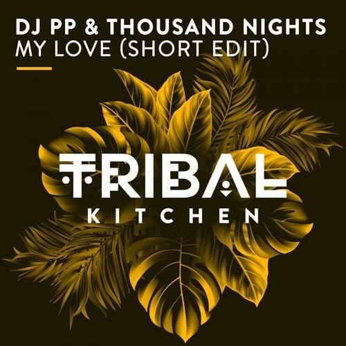 DJ PP, Thousand Nights-My Love (Short Edit)