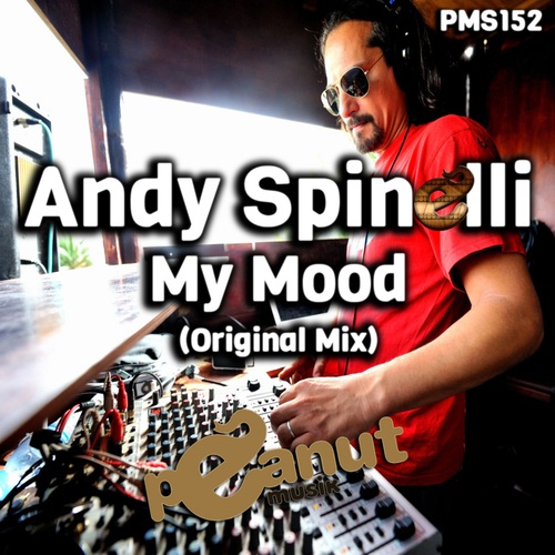 Andy Spinelli-My Mood