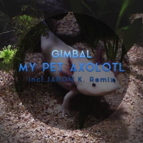 Gimbal, Jaron K.-My Pet Axolotl