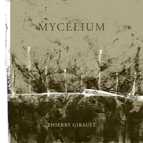 Mycelium