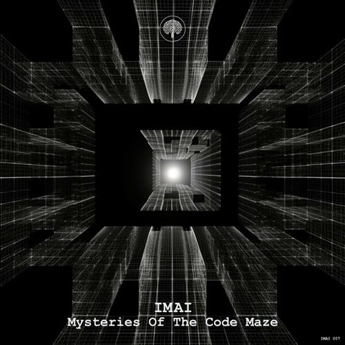 Mysteries of the Code Maze