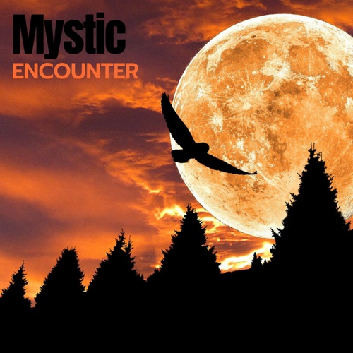 Advanced Suite-Mystic Encounter
