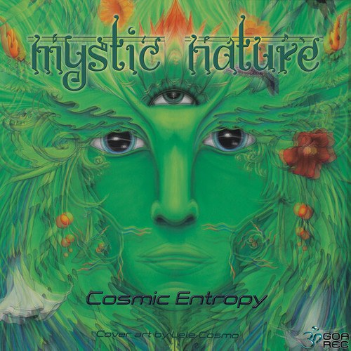 Cosmic Entropy-Mystic Nature