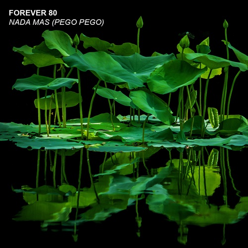 Forever 80-Nada mas (pego pego)