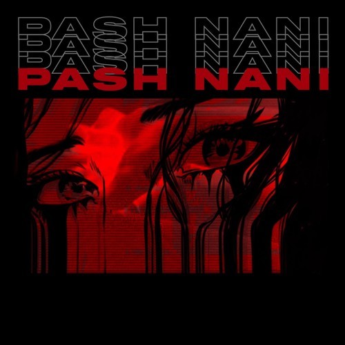 PASH-Nani