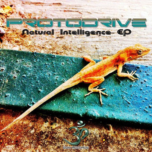 ProtoDrive-Natural Intelligence