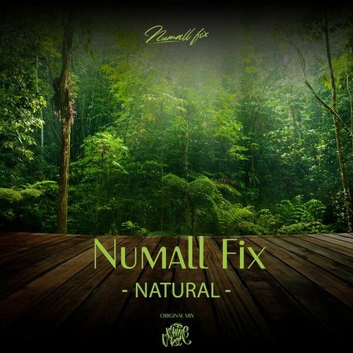 Numall Fix-Natural