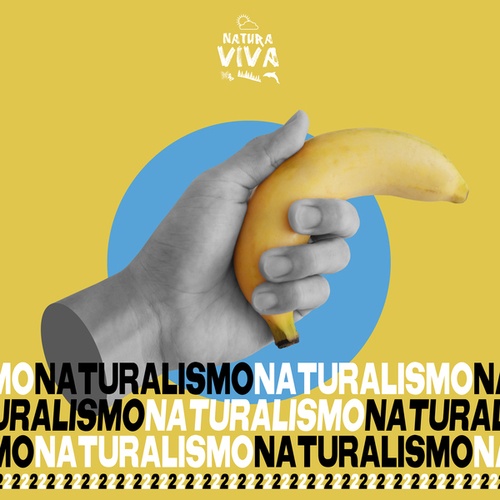 Various Artists-Naturalismo 2