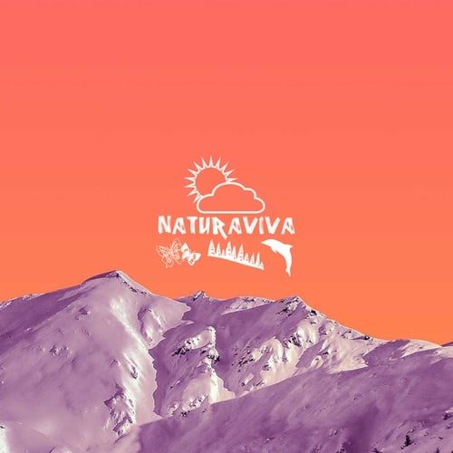 Various Artists-Naturalismo 3