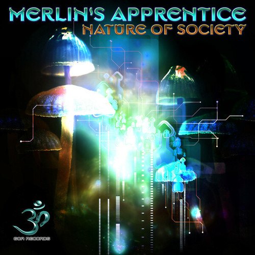 Merlin's Apprentice-Nature of Society