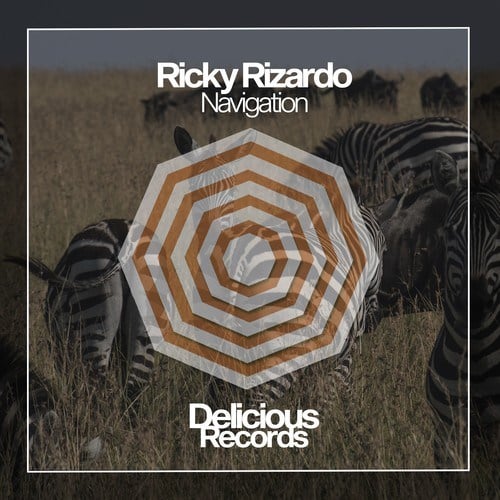 Ricky Rizardo-Navigation