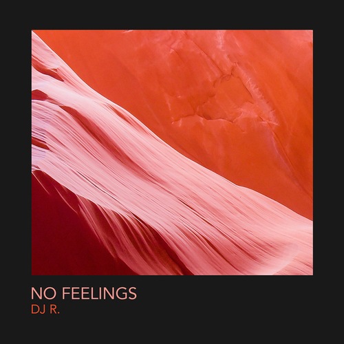 DJ R., Avaro, DJ Tonka-Ne Feelings
