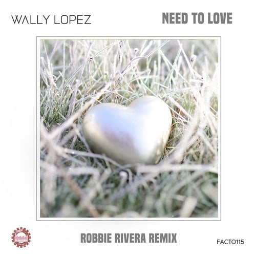 Wally Lopez, Robbie Rivera-Need to Love (Robbie Rivera Radio Mix)