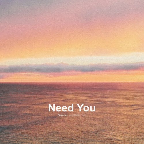 Demmo-Need You