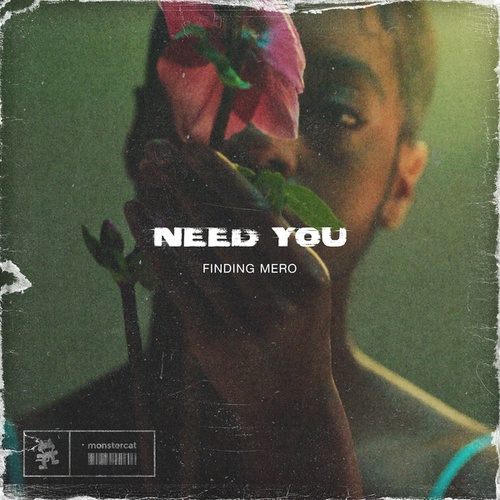 Finding Mero-Need You