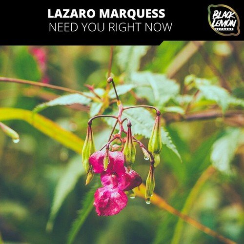 Lazaro Marquess-Need You Right Now!