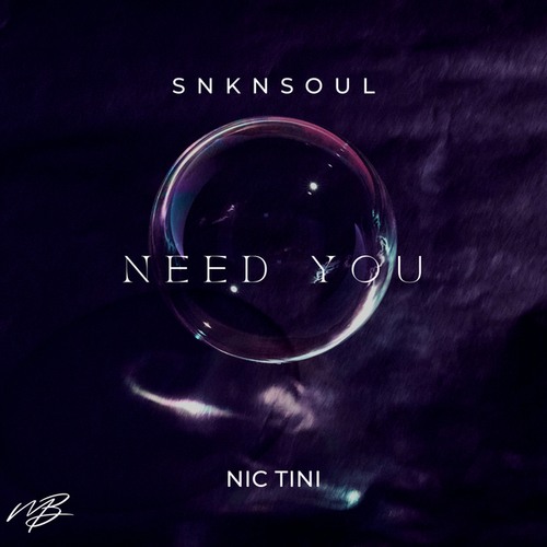 SNKNSOUL, Nic Tini-Need You