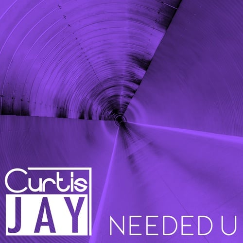 Curtis Jay-Needed U (Original Mix)