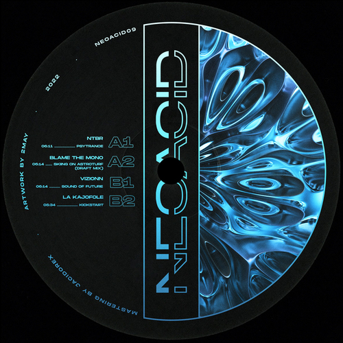 NTBR, Blame The Mono, Vizionn, La Kajofol-NEOACID09VA