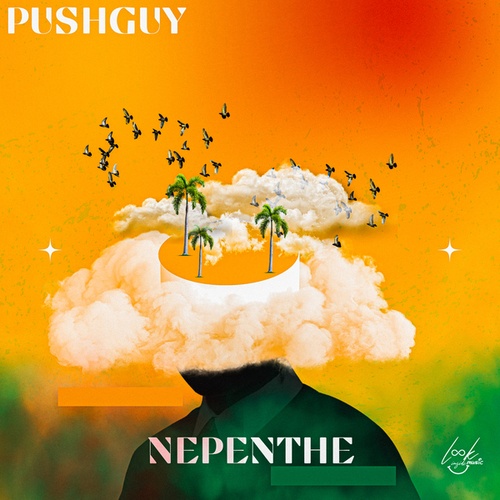 Pushguy, Dj Mosquito-Nepenthe