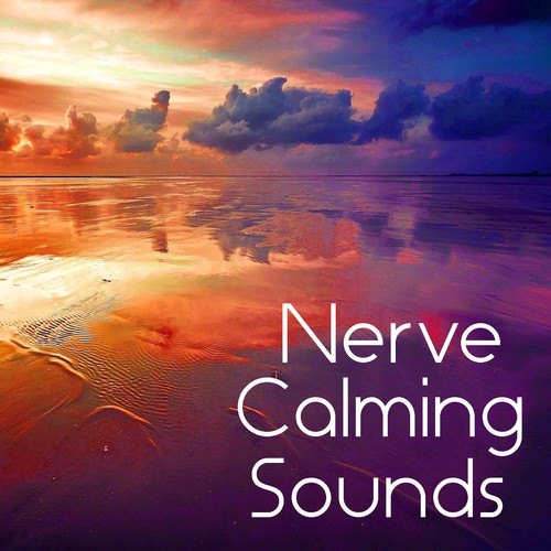 Power Shui-Nerve Calming Sounds
