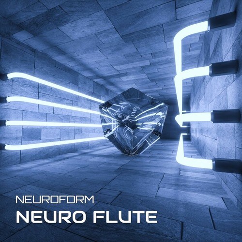 Neuroform-Neuro Flute