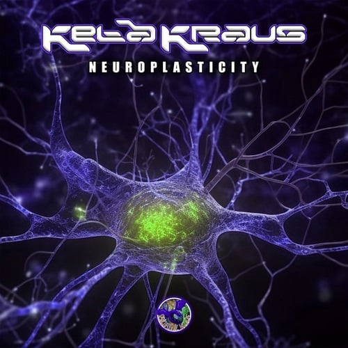 Keta Kraus-Neuroplasticity