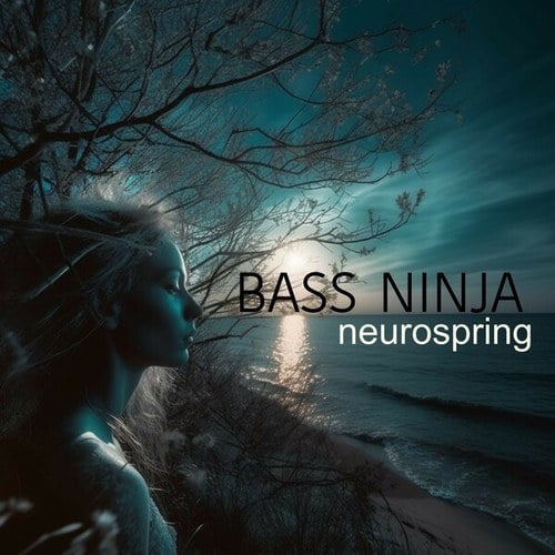 Bass Ninja-Neurospring